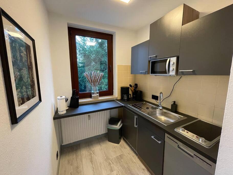 Apartment Suennanbeter Mit Pool Fuer 2-4 Personen Даме Экстерьер фото
