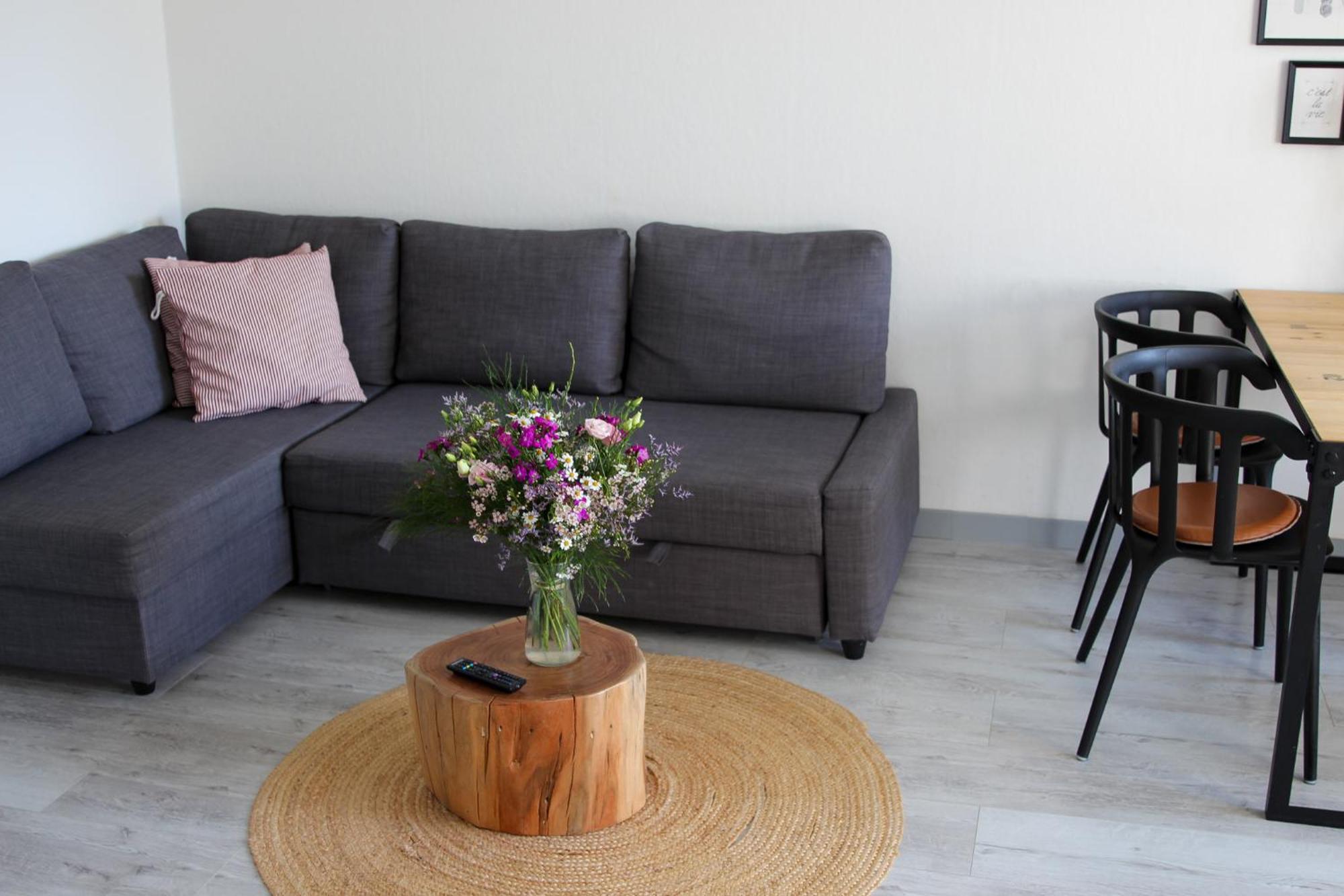 Apartment Suennanbeter Mit Pool Fuer 2-4 Personen Даме Экстерьер фото